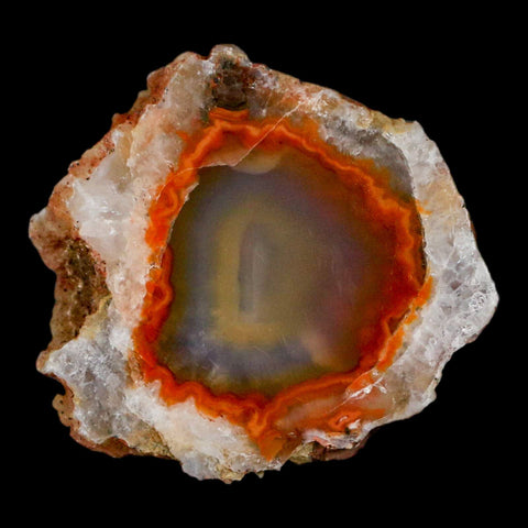 2" Polished Cut Agate Geode Crystal Quarts Chalcedony Mineral Specimen - Fossil Age Minerals