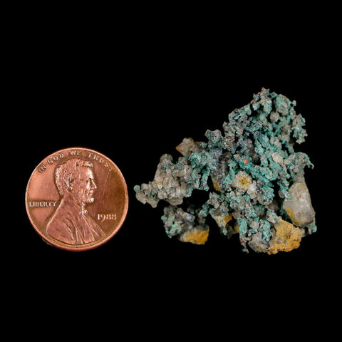 1.3" Rough Native Copper And Crystal Quartz Matrix Mineral Specimen Morocco - Fossil Age Minerals