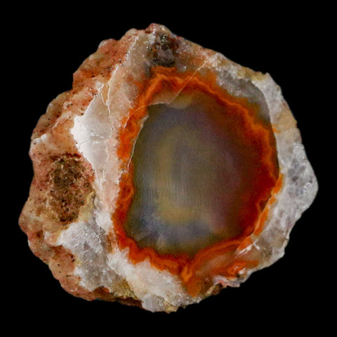 2" Polished Cut Agate Geode Crystal Quarts Chalcedony Mineral Specimen - Fossil Age Minerals