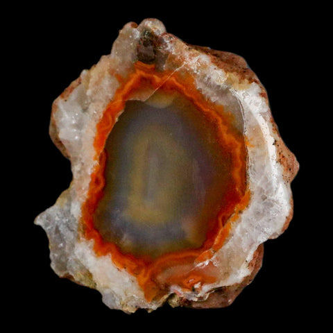 2" Polished Cut Agate Geode Crystal Quarts Chalcedony Mineral Specimen - Fossil Age Minerals