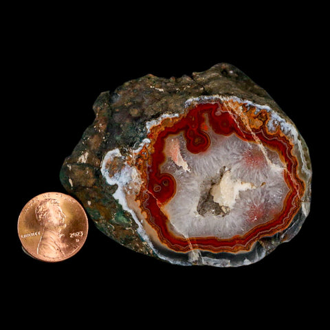 2.6" Polished Cut Agate Geode Crystal Quarts Chalcedony Mineral Specimen - Fossil Age Minerals
