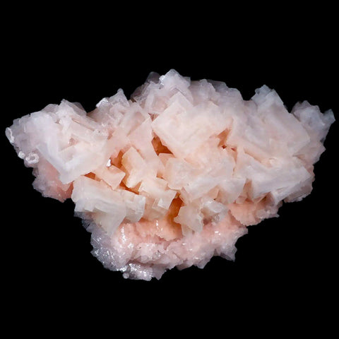 XL 6.8" Quality Pink Halite Salt Crystals Cluster Mineral Trona, CA Searles Lake - Fossil Age Minerals