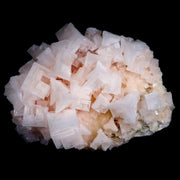 XL 5.8" Quality Pink Halite Salt Crystals Cluster Mineral Trona, CA Searles Lake