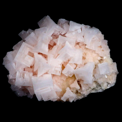 XL 5.8" Quality Pink Halite Salt Crystals Cluster Mineral Trona, CA Searles Lake - Fossil Age Minerals