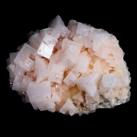 XL 5.8" Quality Pink Halite Salt Crystals Cluster Mineral Trona, CA Searles Lake - Fossil Age Minerals