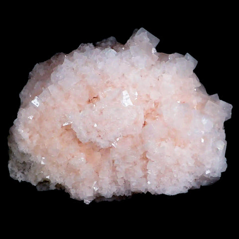 XL 5.8" Quality Pink Halite Salt Crystals Cluster Mineral Trona, CA Searles Lake - Fossil Age Minerals