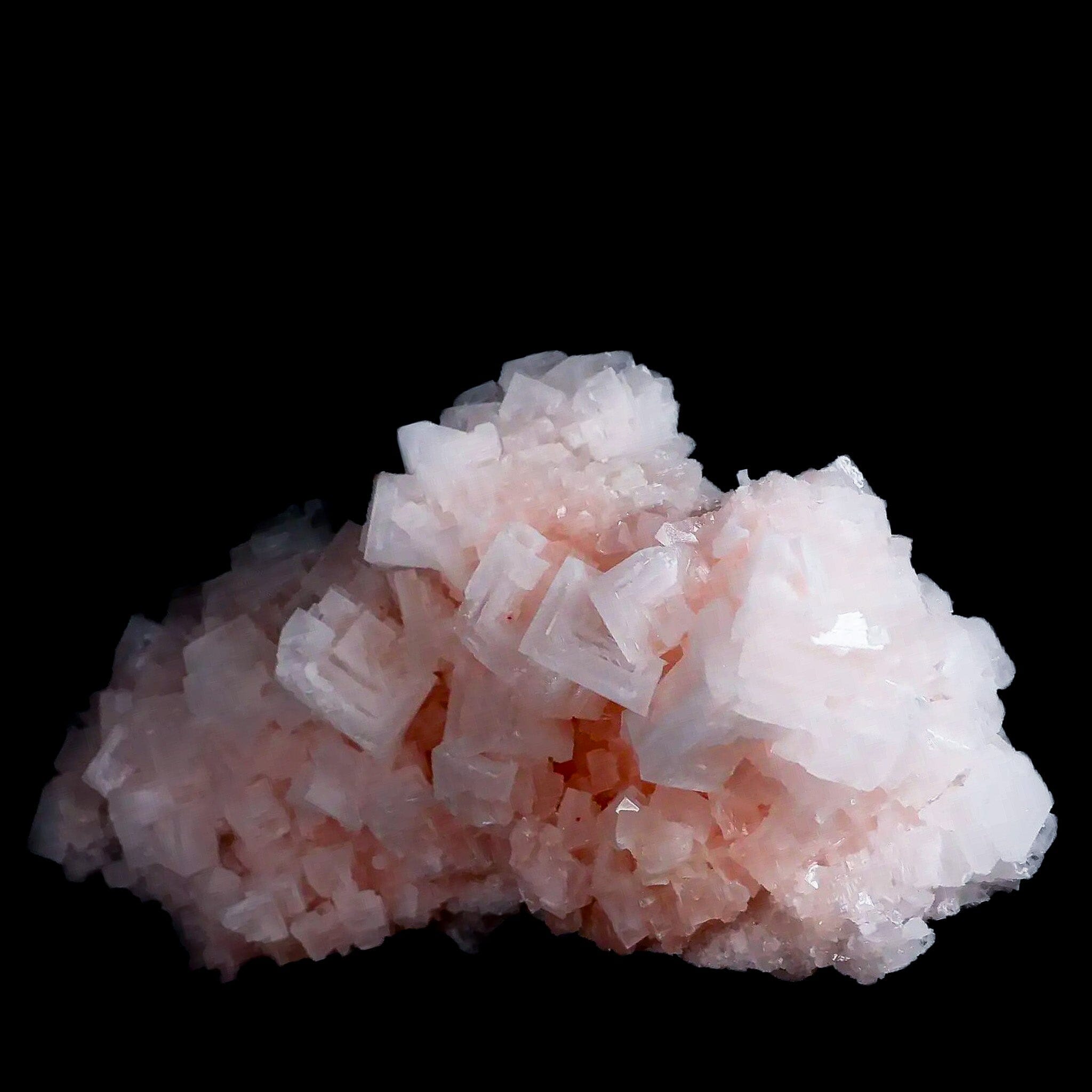 XL 7" Quality Pink Halite Salt Crystals Cluster Mineral Trona, CA Searles Lake - Fossil Age Minerals