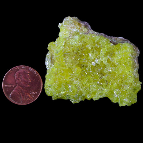 1.8" Rough Bright Yellow Sulfur Crystal Cluster On Matrix El Desierto Mine Bolivia - Fossil Age Minerals