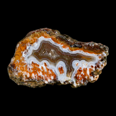2.6" Polished Cut Agate Geode Crystal Quarts Chalcedony Mineral Specimen - Fossil Age Minerals