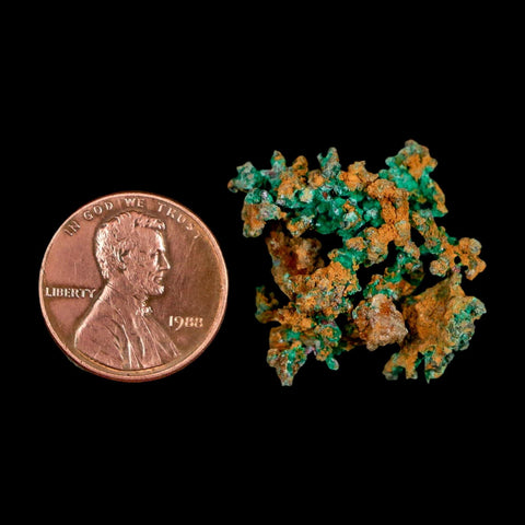 1" Rough Native Copper And Crystal Quartz Matrix Mineral Specimen Morocco - Fossil Age Minerals