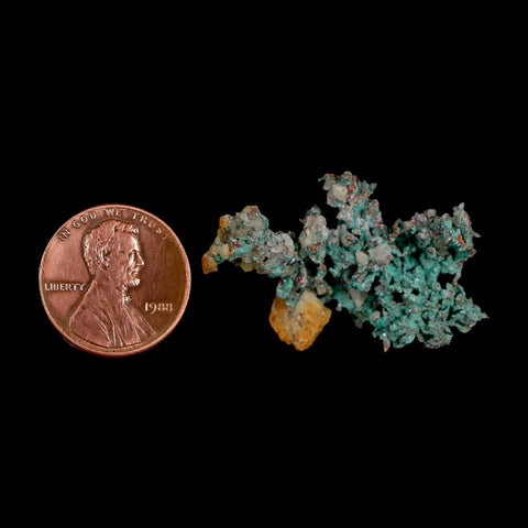 1.4" Rough Native Copper And Crystal Quartz Matrix Mineral Specimen Morocco - Fossil Age Minerals