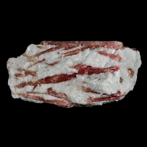 4.7" Natural Rough Pink Tourmaline on Crystal Quartz Mineral Specimen Brazil - Fossil Age Minerals