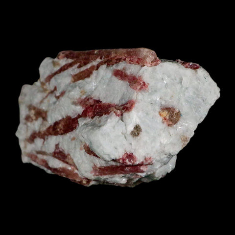 4.7" Natural Rough Pink Tourmaline on Crystal Quartz Mineral Specimen Brazil - Fossil Age Minerals