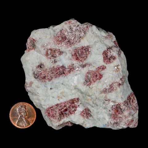 3.1" Natural Rough Pink Tourmaline on Crystal Quartz Mineral Specimen Brazil - Fossil Age Minerals