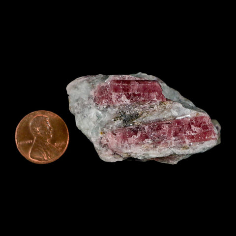 2.2" Natural Rough Pink Tourmaline on Crystal Quartz Mineral Specimen Brazil - Fossil Age Minerals
