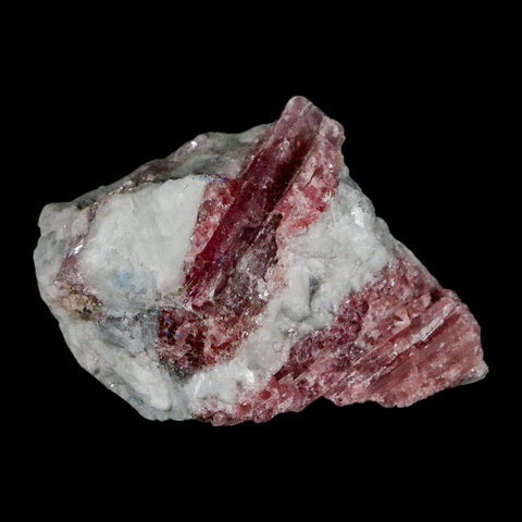 2.2" Natural Rough Pink Tourmaline on Crystal Quartz Mineral Specimen Brazil - Fossil Age Minerals