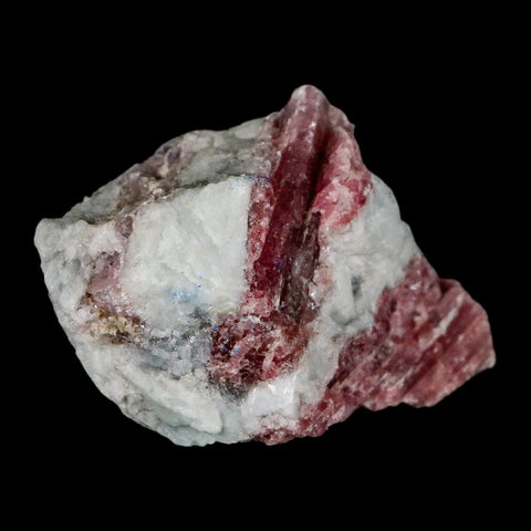2.2" Natural Rough Pink Tourmaline on Crystal Quartz Mineral Specimen Brazil - Fossil Age Minerals