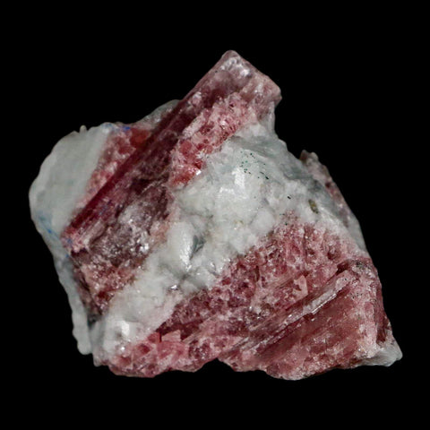 2.2" Natural Rough Pink Tourmaline on Crystal Quartz Mineral Specimen Brazil - Fossil Age Minerals