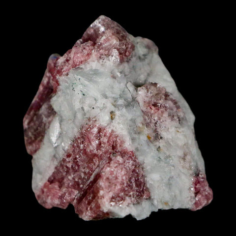 2.2" Natural Rough Pink Tourmaline on Crystal Quartz Mineral Specimen Brazil - Fossil Age Minerals