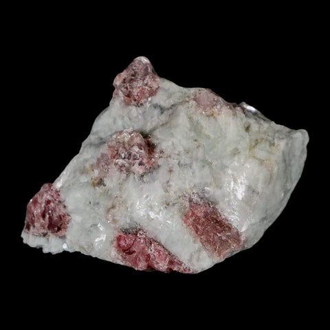 2.2" Natural Rough Pink Tourmaline on Crystal Quartz Mineral Specimen Brazil - Fossil Age Minerals