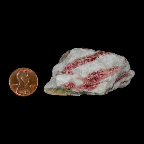 2.4" Natural Rough Pink Tourmaline on Crystal Quartz Mineral Specimen Brazil - Fossil Age Minerals