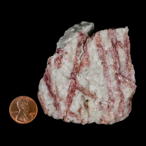 2.6" Natural Rough Pink Tourmaline on Crystal Quartz Mineral Specimen Brazil - Fossil Age Minerals