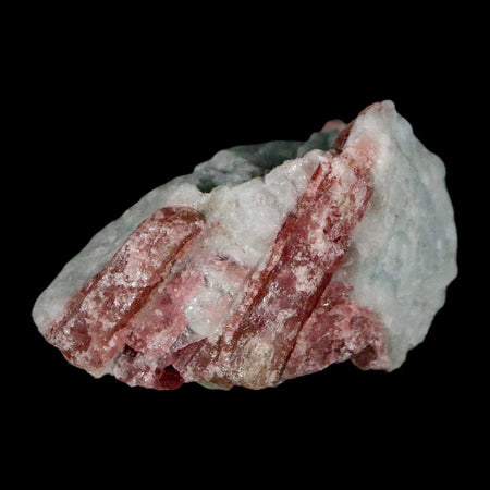 1.5" Natural Rough Pink Tourmaline on Crystal Quartz Mineral Specimen Brazil