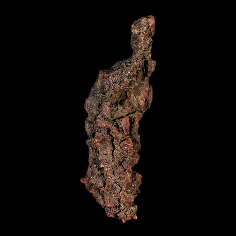 4.2" Prehistoric Coprolite Fossil Specimen Poop Dung Miocene Madagascar - Fossil Age Minerals