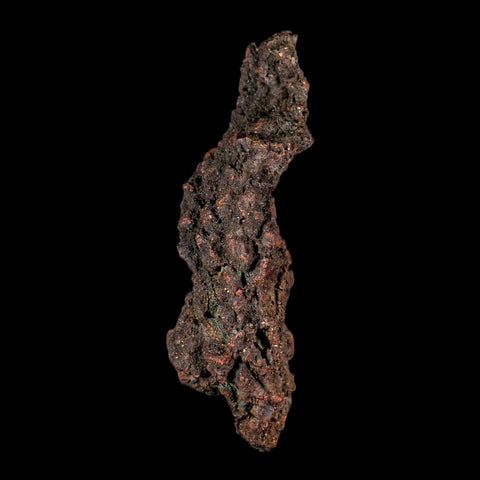 4.2" Prehistoric Coprolite Fossil Specimen Poop Dung Miocene Madagascar - Fossil Age Minerals