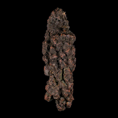 4.2" Prehistoric Coprolite Fossil Specimen Poop Dung Miocene Madagascar - Fossil Age Minerals