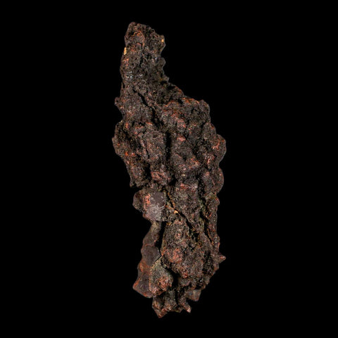 4.2" Prehistoric Coprolite Fossil Specimen Poop Dung Miocene Madagascar - Fossil Age Minerals