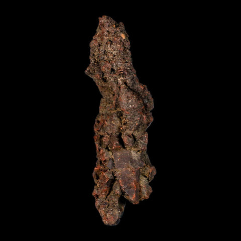 4.2" Prehistoric Coprolite Fossil Specimen Poop Dung Miocene Madagascar - Fossil Age Minerals