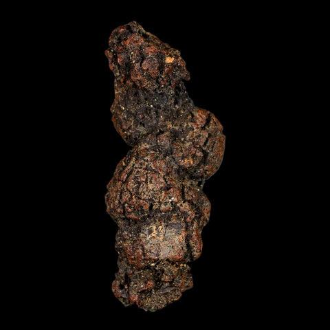 3.2" Prehistoric Coprolite Fossil Specimen Poop Dung Miocene Madagascar - Fossil Age Minerals