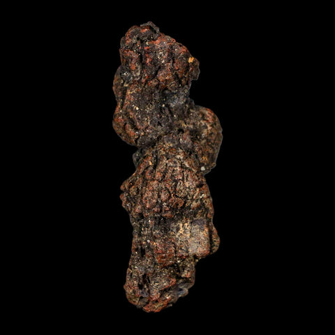 3.2" Prehistoric Coprolite Fossil Specimen Poop Dung Miocene Madagascar - Fossil Age Minerals