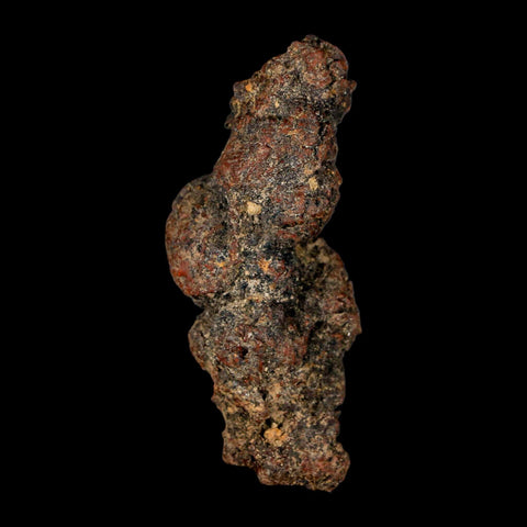 3.2" Prehistoric Coprolite Fossil Specimen Poop Dung Miocene Madagascar - Fossil Age Minerals