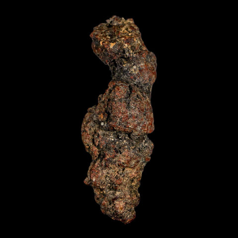 3.2" Prehistoric Coprolite Fossil Specimen Poop Dung Miocene Madagascar - Fossil Age Minerals
