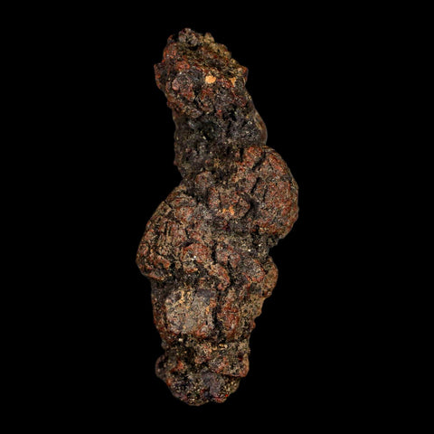 3.2" Prehistoric Coprolite Fossil Specimen Poop Dung Miocene Madagascar - Fossil Age Minerals
