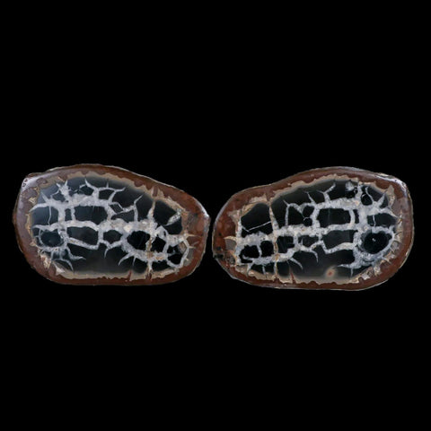 XL 4" Septarian Dragon Stone Polished Halves Nodule Mineral Specimen Morocco - Fossil Age Minerals