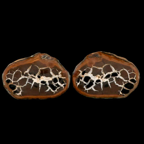 2.5" Septarian Dragon Stone Polished Halves Nodule Mineral Specimen Morocco - Fossil Age Minerals