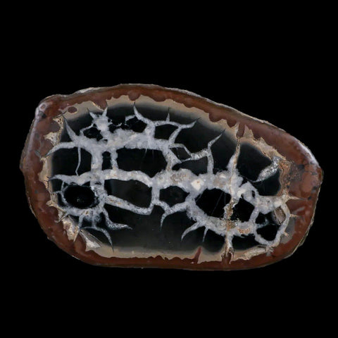 XL 4" Septarian Dragon Stone Polished Halves Nodule Mineral Specimen Morocco - Fossil Age Minerals