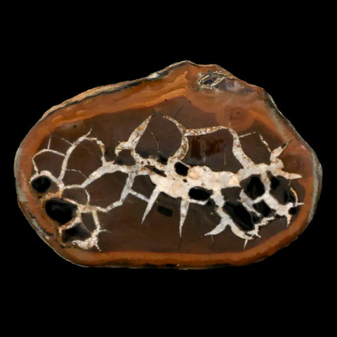 2.5" Septarian Dragon Stone Polished Halves Nodule Mineral Specimen Morocco - Fossil Age Minerals