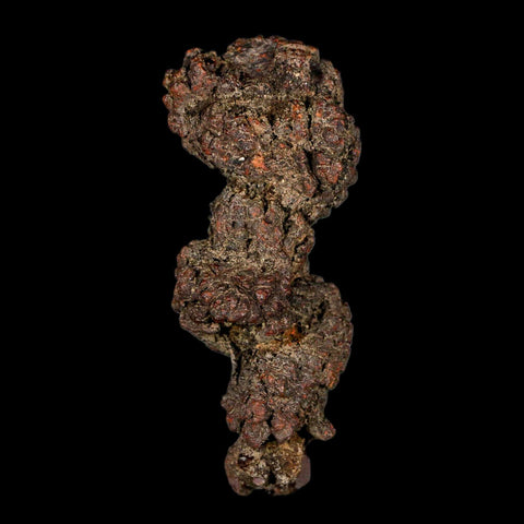 3.2" Prehistoric Coprolite Fossil Specimen Poop Dung Miocene Madagascar - Fossil Age Minerals