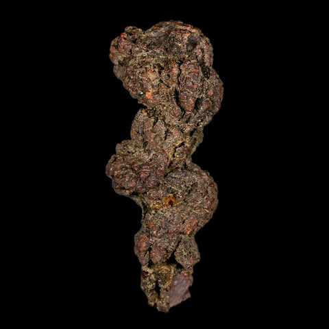 3.2" Prehistoric Coprolite Fossil Specimen Poop Dung Miocene Madagascar - Fossil Age Minerals