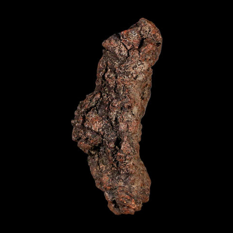 3.4" Prehistoric Coprolite Fossil Specimen Poop Dung Miocene Madagascar - Fossil Age Minerals