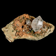 3.1" Natural Clear Skeletal Crystal Quartz Point in Matriz Fenestra Quartz Morocco