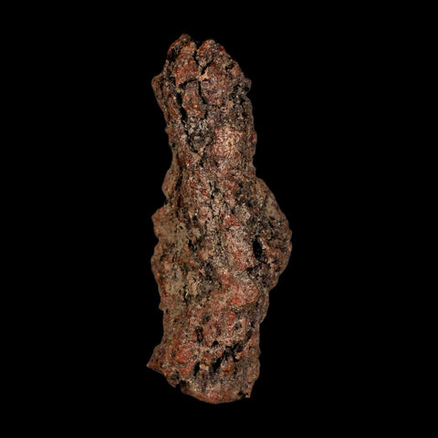 3.4" Prehistoric Coprolite Fossil Specimen Poop Dung Miocene Madagascar - Fossil Age Minerals