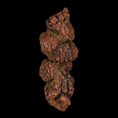 3.7" Prehistoric Coprolite Fossil Specimen Poop Dung Miocene Madagascar - Fossil Age Minerals