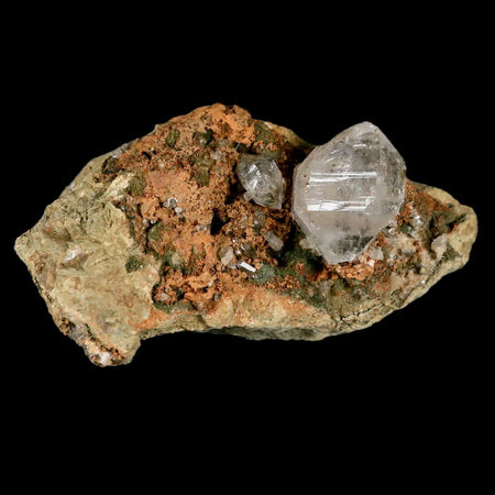 3.1" Natural Clear Skeletal Crystal Quartz Point in Matriz Fenestra Quartz Morocco