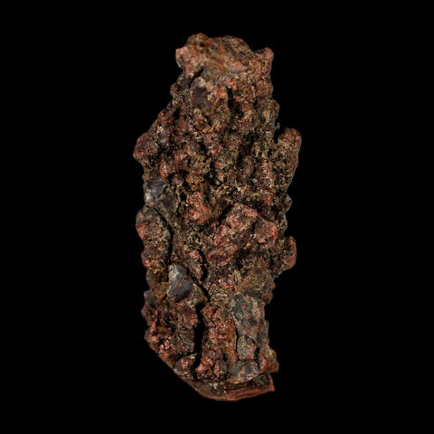 2.9" Prehistoric Coprolite Fossil Specimen Poop Dung Miocene Madagascar - Fossil Age Minerals