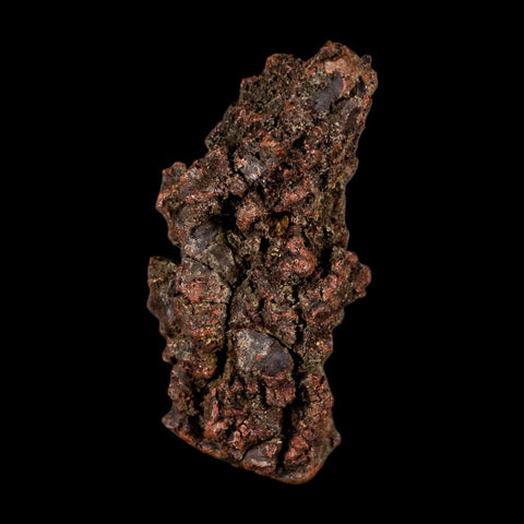 2.9" Prehistoric Coprolite Fossil Specimen Poop Dung Miocene Madagascar - Fossil Age Minerals